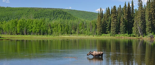 Alaskan Discovery Tour